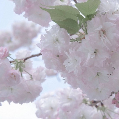 蓝田FurryQQ群介绍